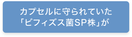 カプセルに守られていた「ビフィズス菌ＳＰ株」が