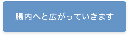 腸内へと広がっていきます