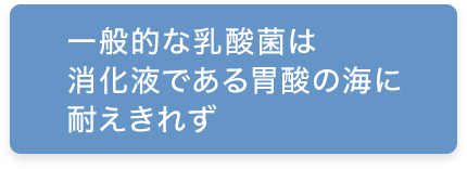 一般的な乳酸菌は消化液である胃酸の海に耐えきれず