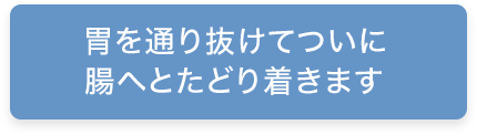 胃を通り抜けてついに腸へとたどり着きます