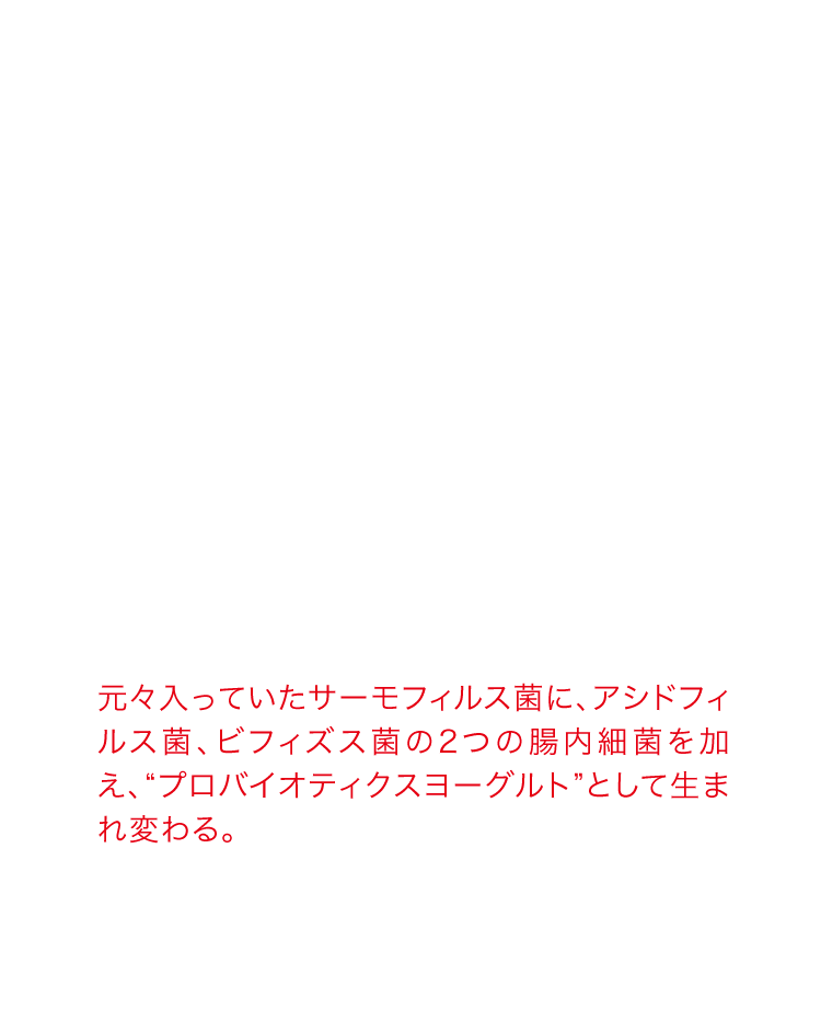 元々入っていたサーモフィルス菌に、アシドフィルス菌、ビフィズス菌の2つの腸内細菌を加え、“プロバイオティクスヨーグルト”として生まれ変わる。