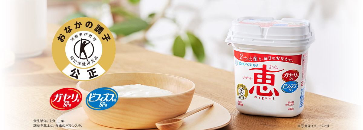 特定保険用食品 ガセリ菌ＳＰ株 ビフィズス菌ＳＰ株 ナチュレ 恵 megumi
