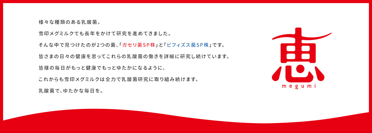 「恵 megumi」の歩み