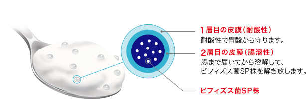 1層目の皮膜（耐酸性）…耐酸性で胃酸から守ります。2層目の皮膜（腸溶性）…腸まで届いてから溶解して、ビフィズス菌ＳＰ株を解き放します。ビフィズス菌ＳＰ株